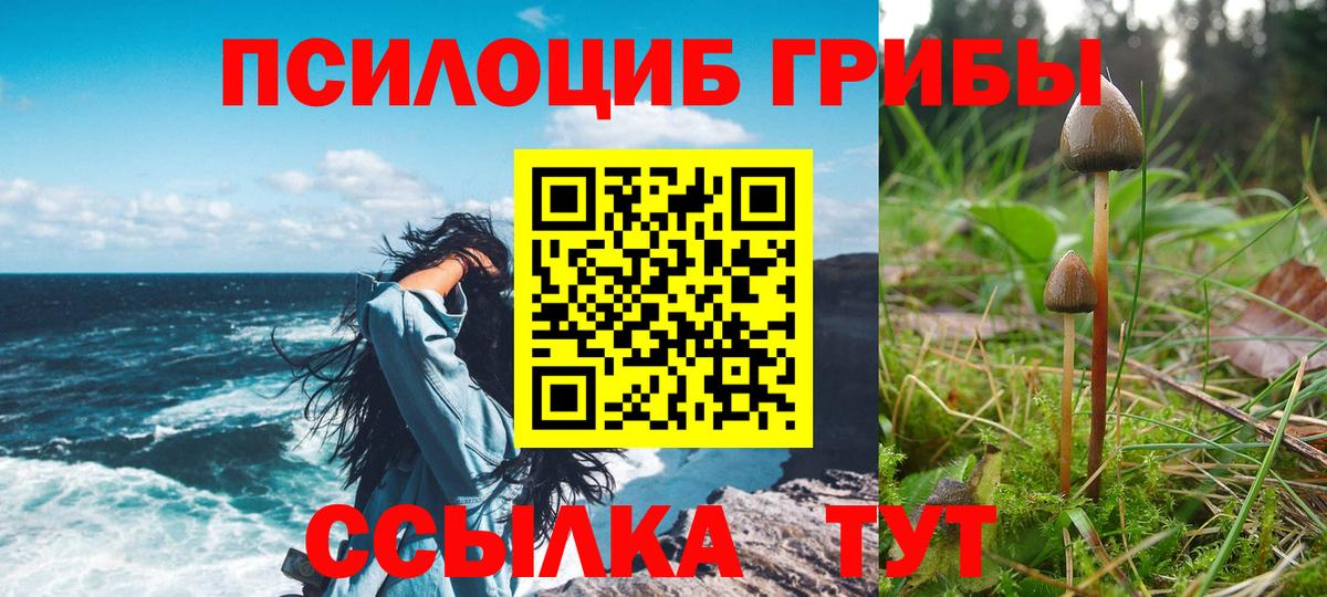 Краснознаменск  Галлюциногенные грибы ЛСД  Вход с VPN 
